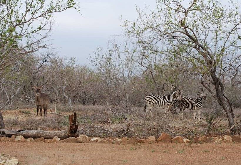 ホテル The Baobab Bush Lodge, No Self Catering