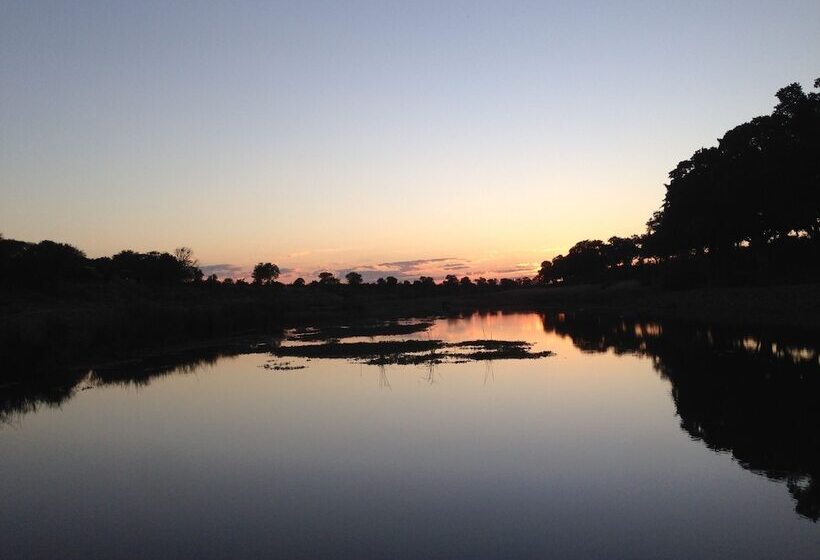 ホテル The Baobab Bush Lodge, No Self Catering