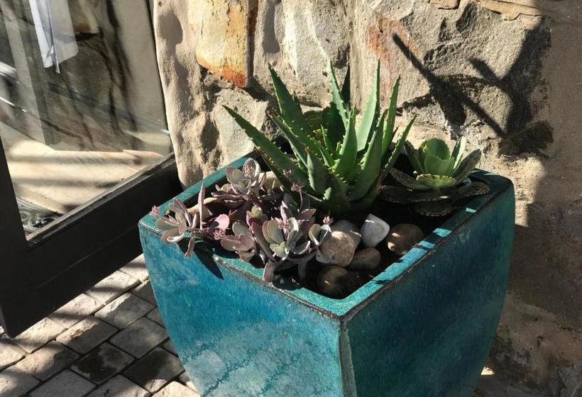 בית מלון כפרי The Cove Guesthouse, Mossel Bay