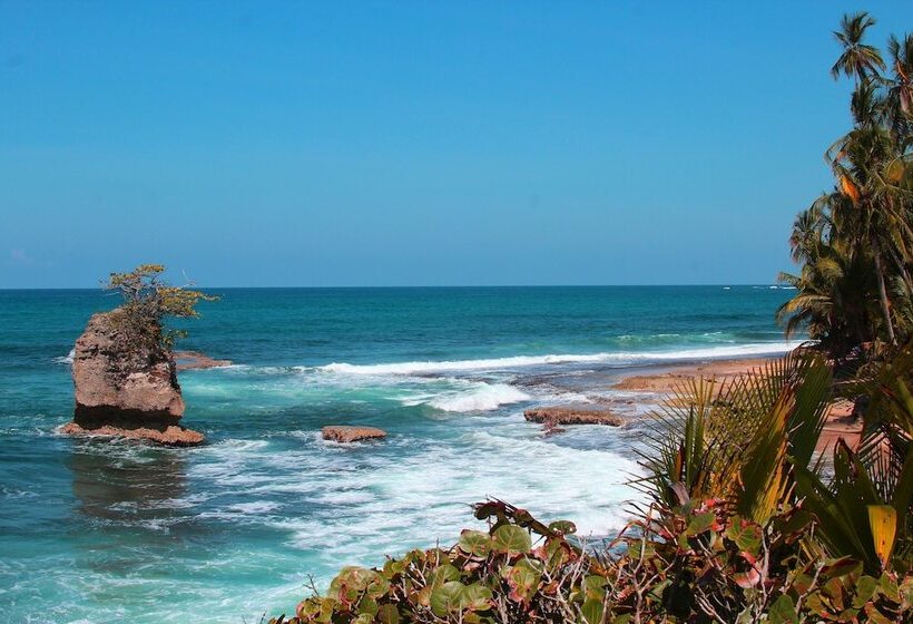 ホテル The Dutch Rooms