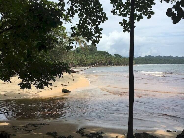 ホテル The Dutch Rooms