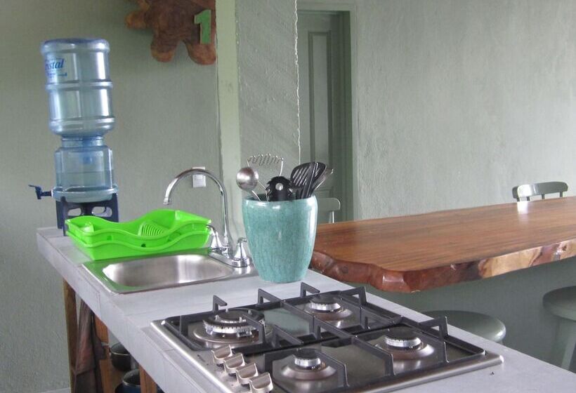 ホテル The Dutch Rooms