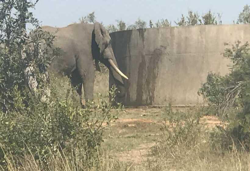 Отель The Rest Guest House