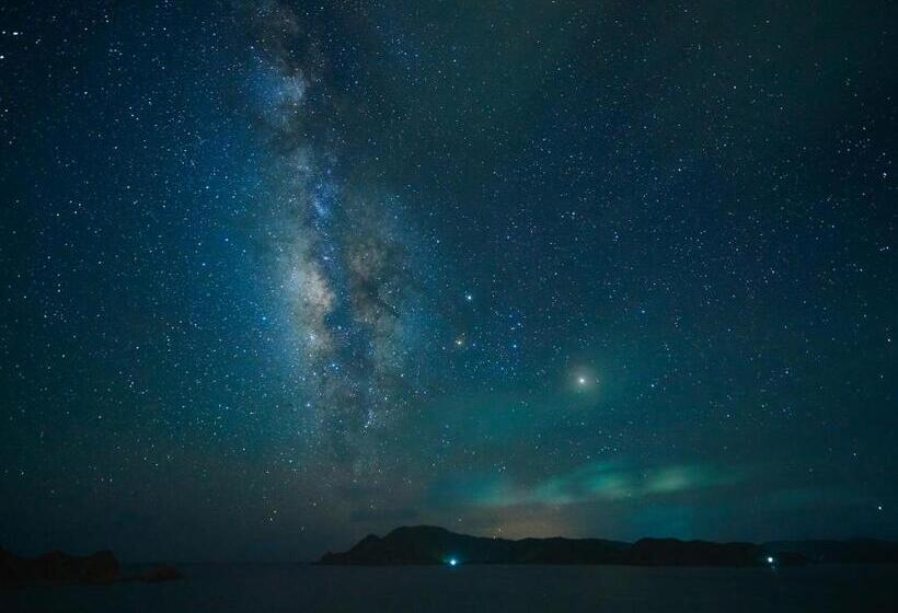 בית מלון כפרי The Scene