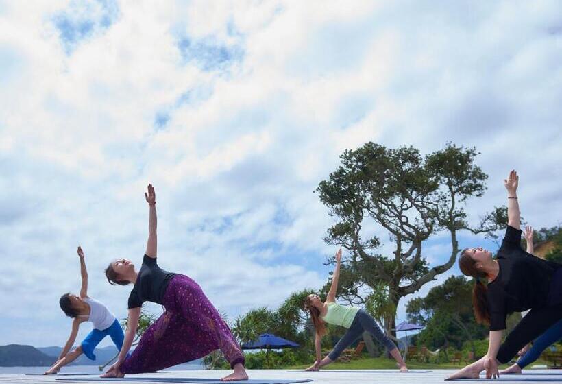 בית מלון כפרי The Scene