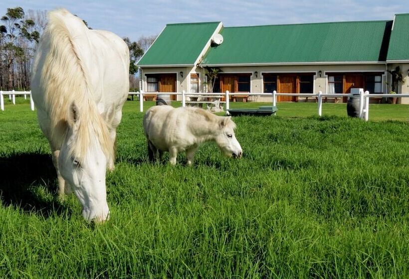 هتل Tniqua Stable Inn