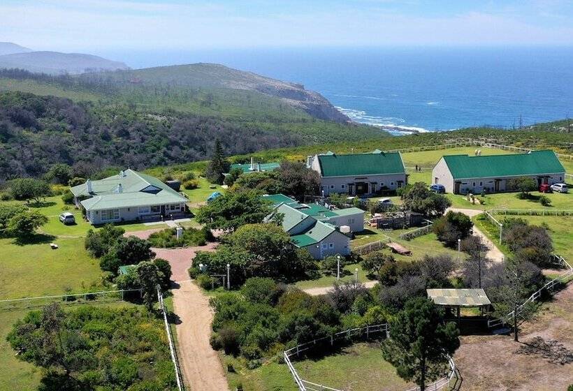 هتل Tniqua Stable Inn