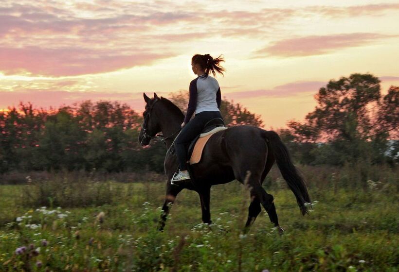 Отель Tulip Inn Sofrino Park