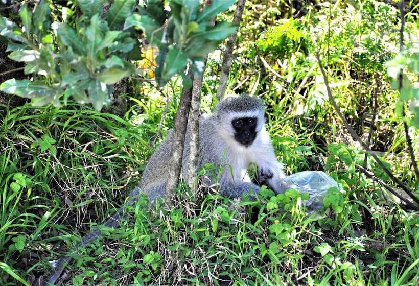 酒店 Viewpoint Lodge & Safari Tours