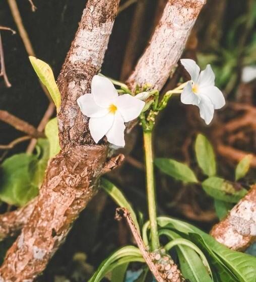 호텔 Weligama Bay Eco Villa