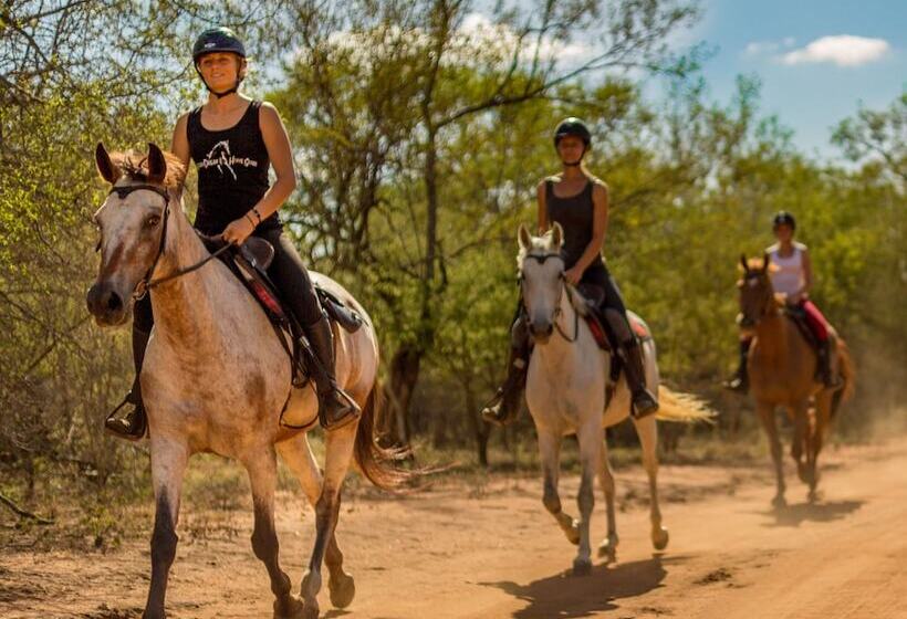 בית מלון כפרי Wild Dog Guest Lodge