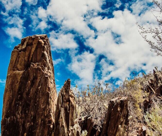 هتل Wildehondekloof Game Lodge