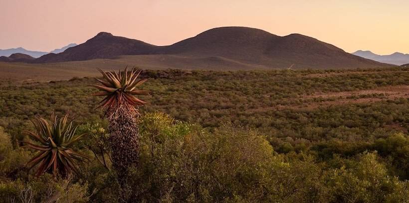 هتل Wildehondekloof Game Lodge