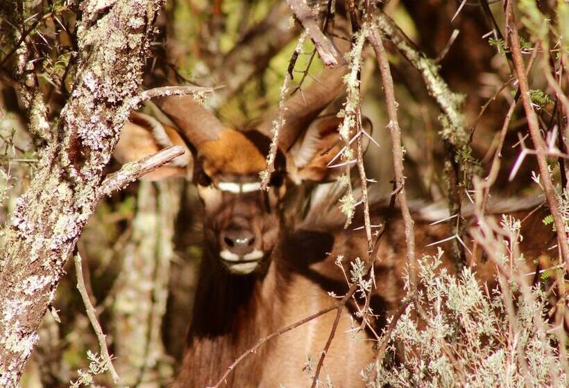 هتل Wildehondekloof Game Lodge