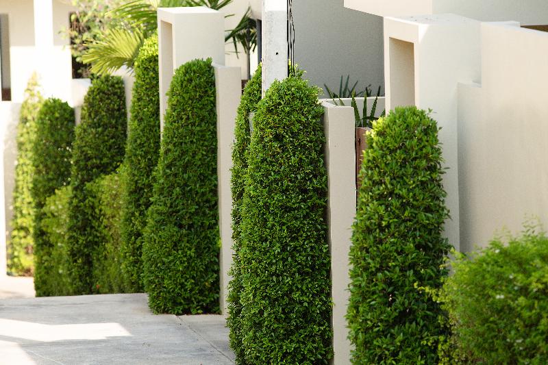 Shanti Estate By Tropiclook