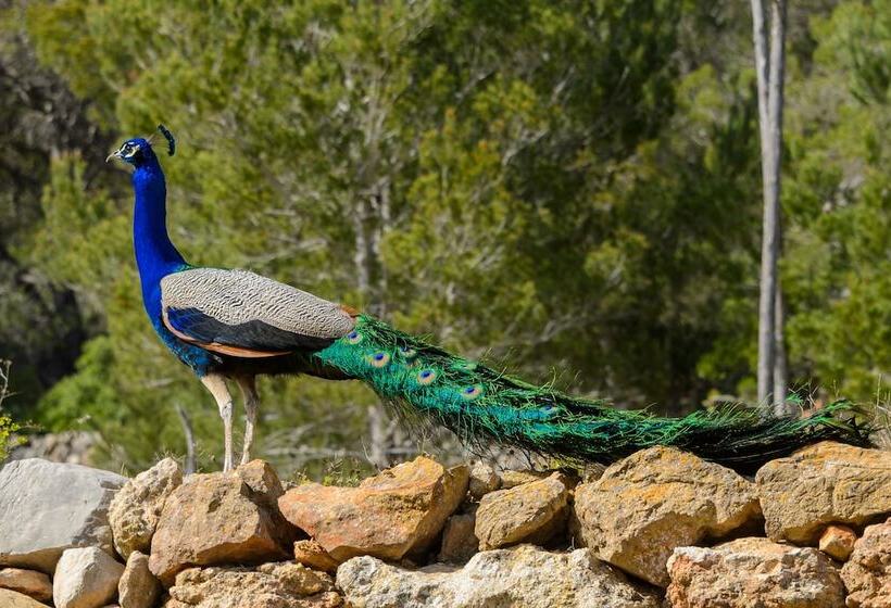 Agroturismo Can Prats