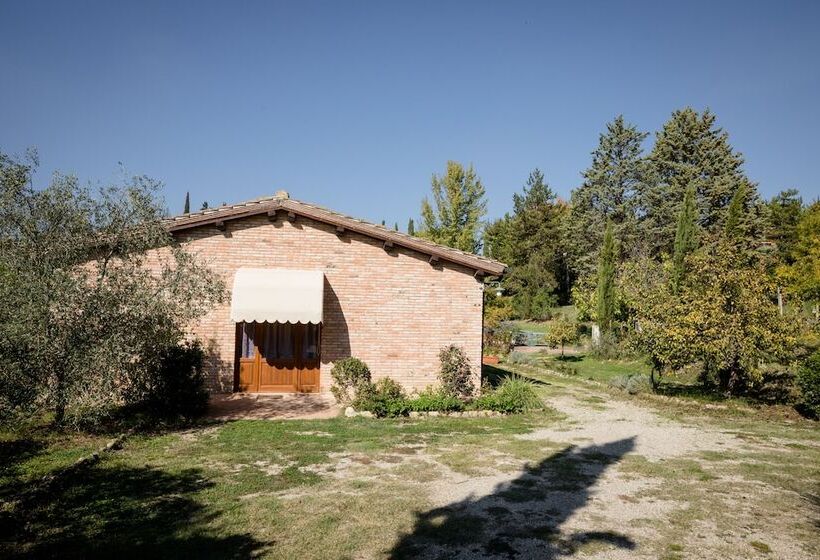 Fattoria Sant Andrea   Farm Stay