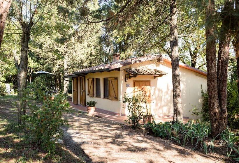 Fattoria Sant Andrea   Farm Stay