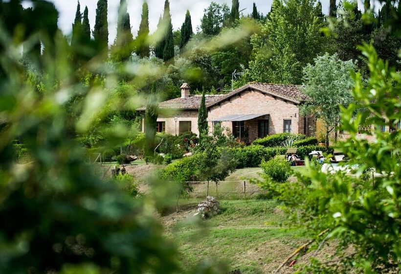 Fattoria Sant Andrea   Farm Stay