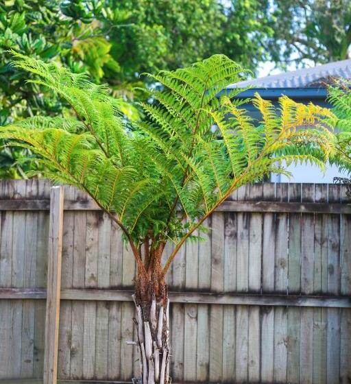 ホテル Birch Resort Port Douglas