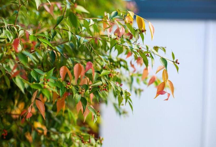 ホテル Birch Resort Port Douglas