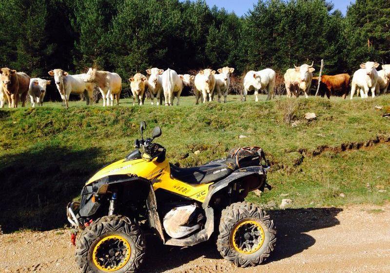 בית מלון כפרי Casa Rural El Olmo