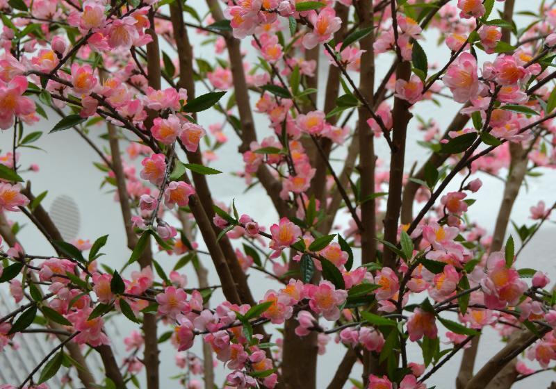 호텔 Denike Grupo Atalaia