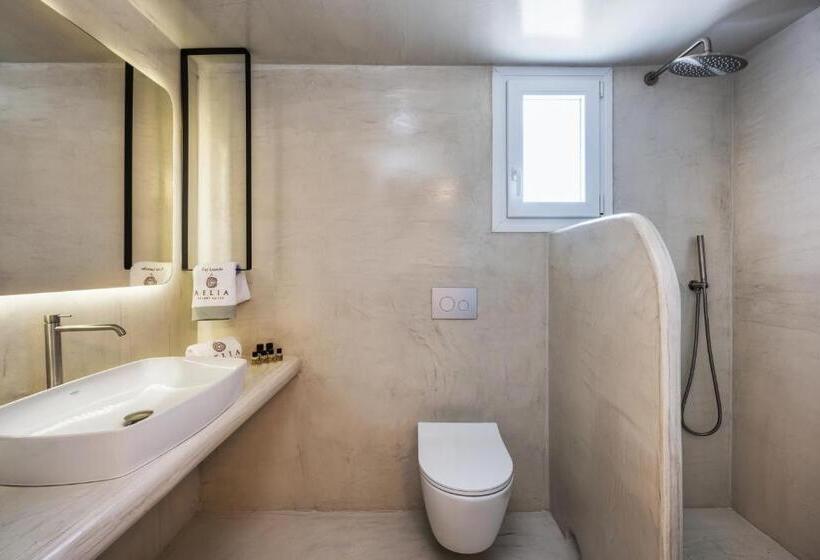 هتل Aelia Luxury Suites