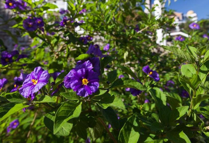 Отель Resort Duga Uvala