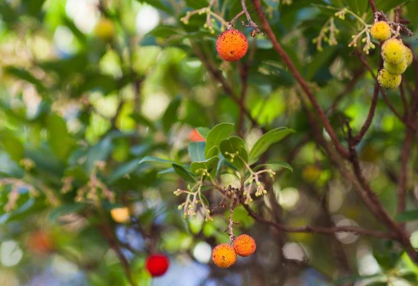 Отель Resort Duga Uvala