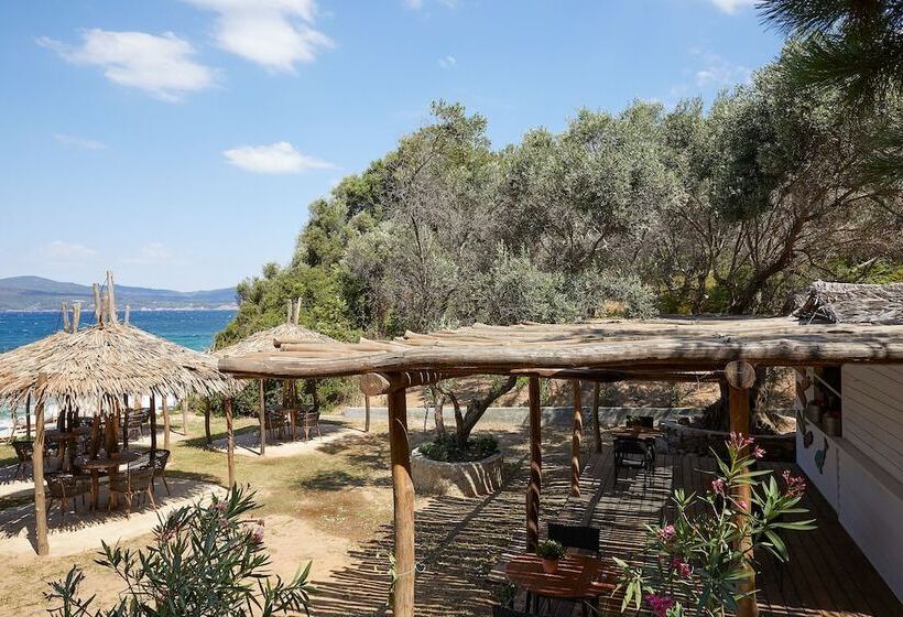 Отель Elivi Skiathos