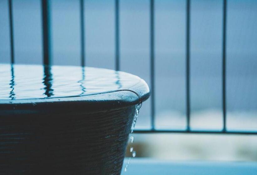 فندق Hakone Kowakien Tenyu