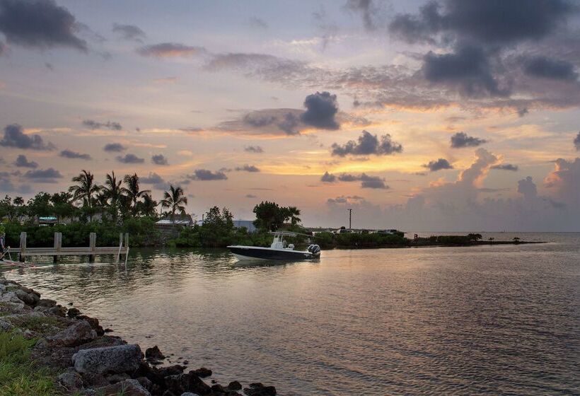 فندق Hampton Inn Marathon   Florida Keys