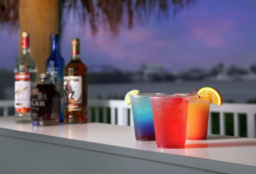 فندق Hampton Inn Marathon   Florida Keys