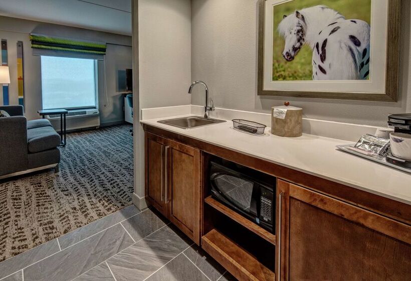 فندق Hampton Inn & Suites Nashville/goodlettsville