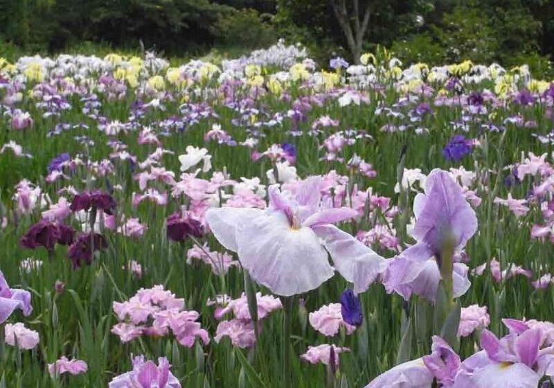 ホテル Ryokan Hanareya Ishidaya