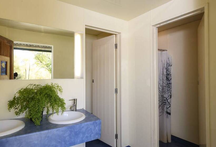 酒店 Kinloch Wilderness Retreat