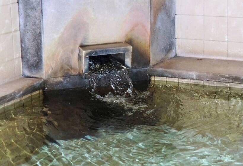 Отель La Montagne Furuhata