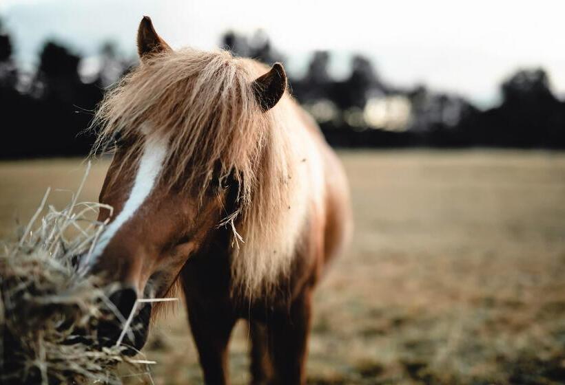 בית מלון כפרי Le Barn