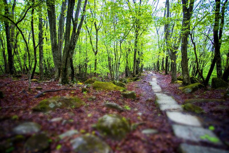 Mineyama Kogen Hotel Relaxia