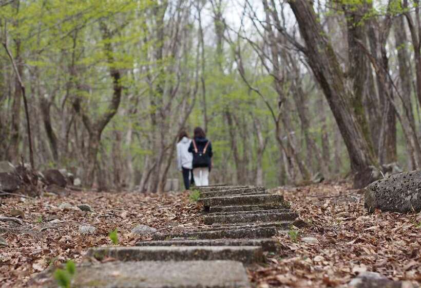 Mineyama Kogen Hotel Relaxia