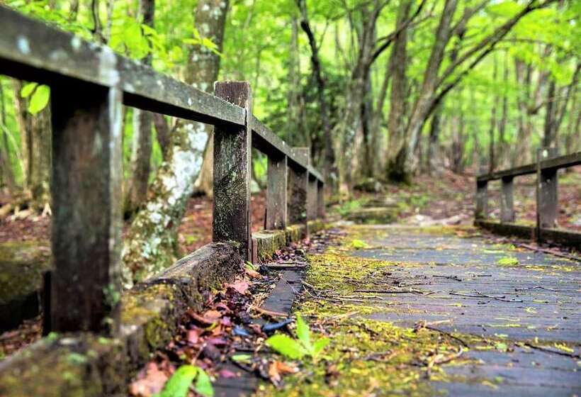 Mineyama Kogen Hotel Relaxia