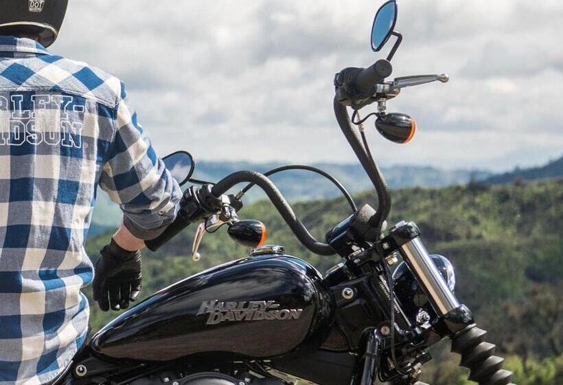 בית מלון כפרי Myogi Green