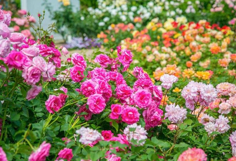 Ooedo Onsen Monogatari Hotel Reoma No Mori