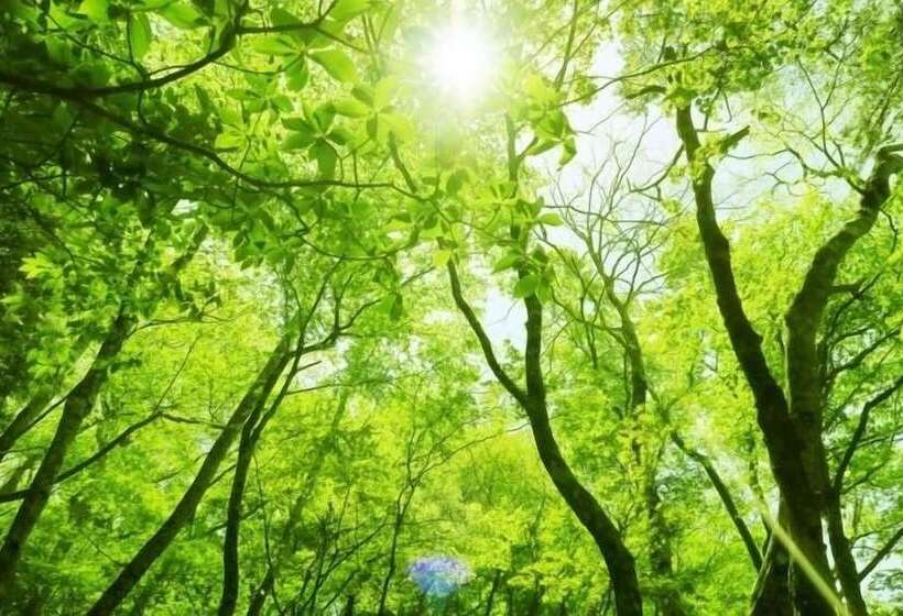 בית מלון כפרי Paper Moon