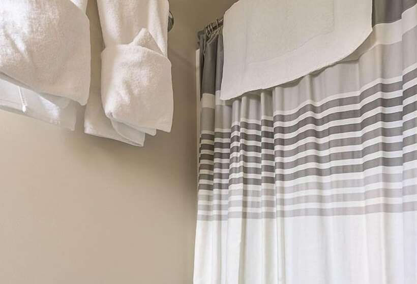 فندق Rehoboth Guest House   Adults Only