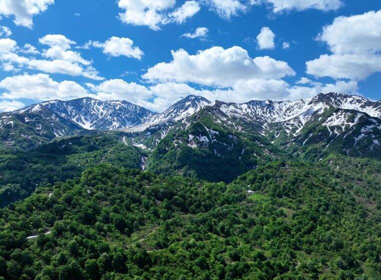 בית מלון כפרי Sasakura Onsen Ryuunso