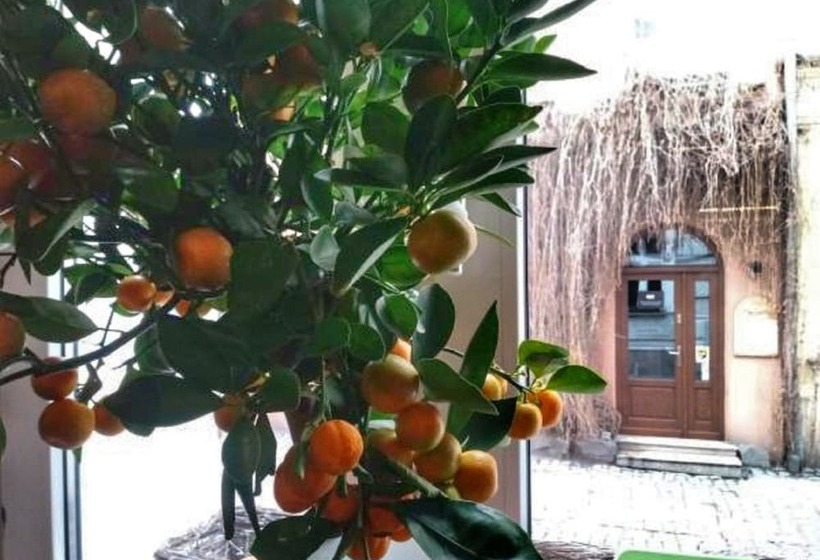 فندق Shalom Kazimierz