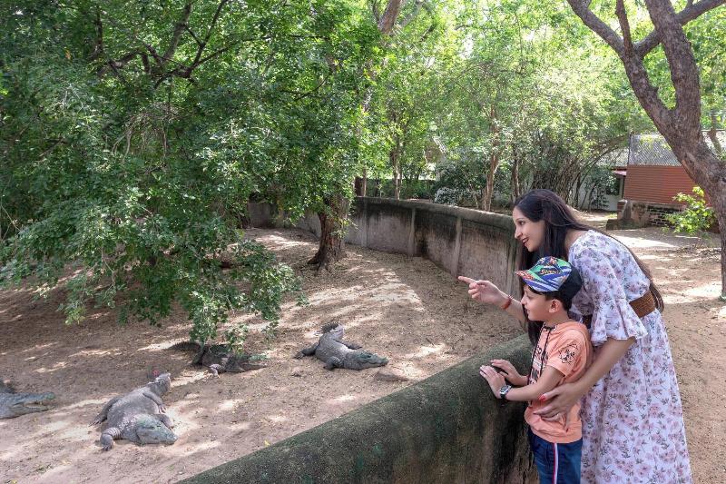 هتل Sheraton Grand Chennai Resort & Spa