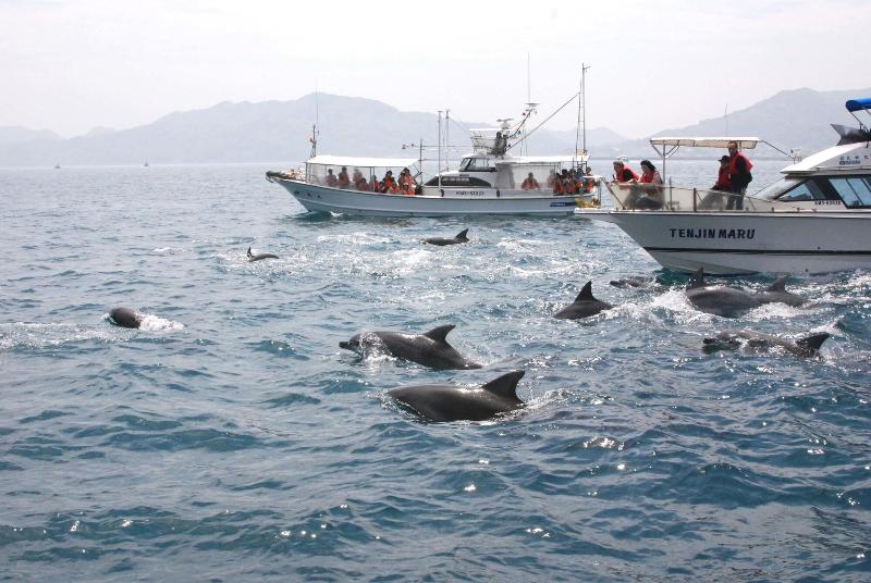 هتل Shouryuen Kaisei